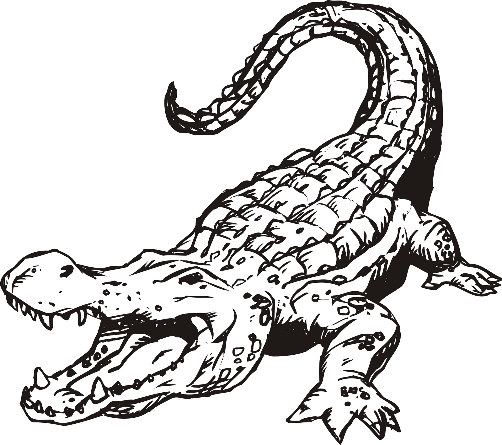 Funny alligator clip art crocodile pictures crocodile clip art - Clipartix