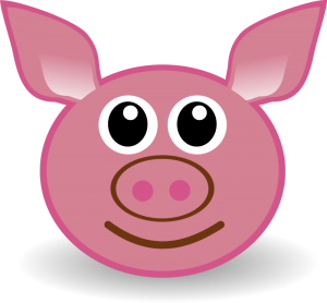 Funny Piggy Face
