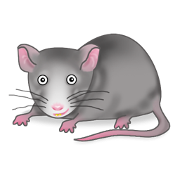 Rat clipart black and white f