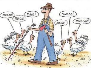 Funny Thanksgiving Turkey .