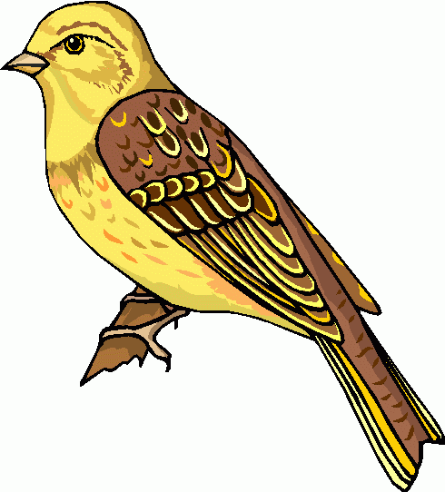 Gallery For Birds Clipart