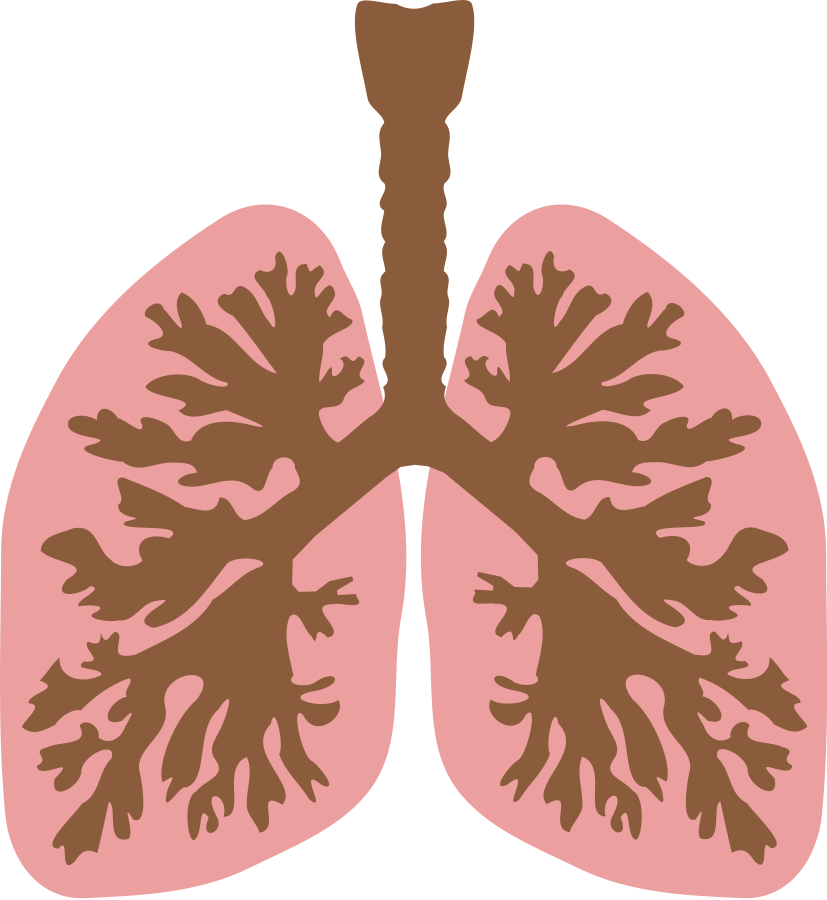 Gallery For Copd Lungs Clip Art