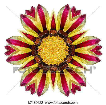 Clip Art - gazania flower mandala. Fotosearch - Search Clipart,  Illustration Posters, Drawings