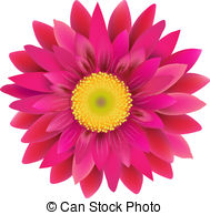Gerbera flower Clipartby phot - Gerber Daisy Clip Art