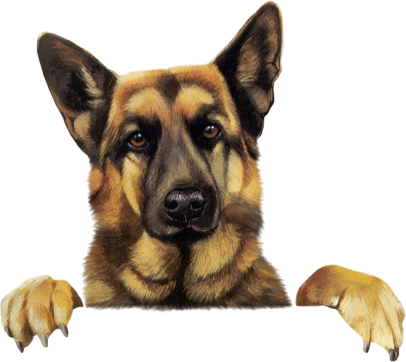 Dog Clipart Dogs German Sheph