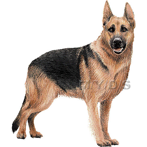 Clipart Illustration of a . W