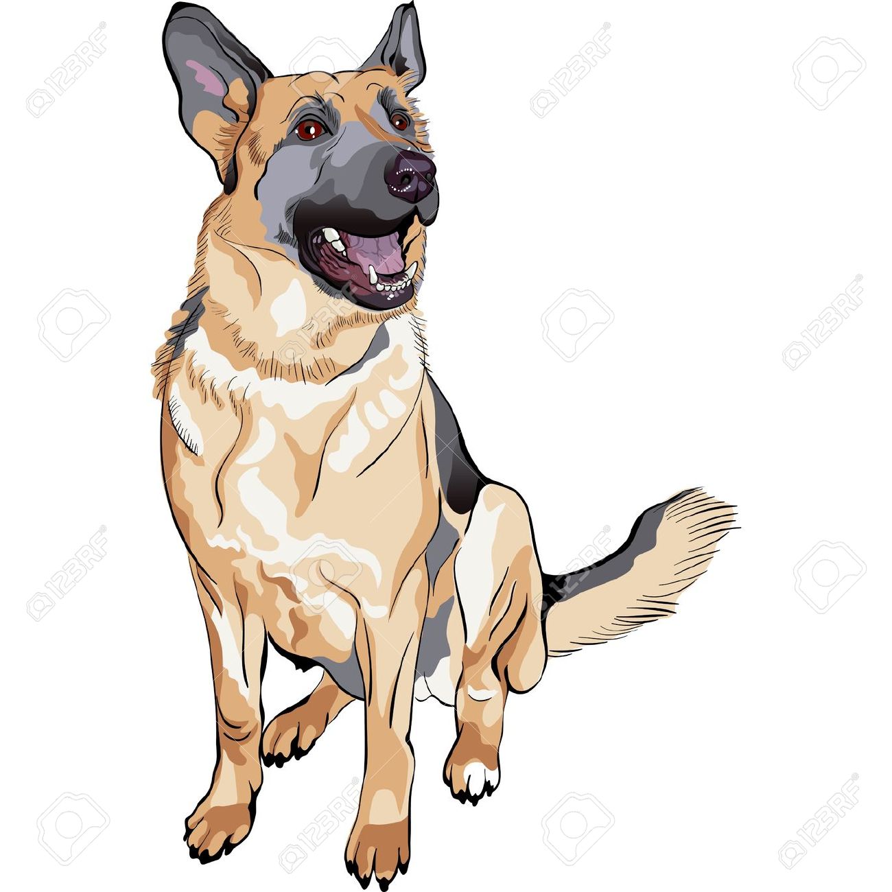 german shepherd: portrait of a dog German shepherd breed sitting and smile