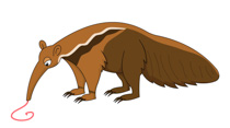 giant anteater eating clipart. Size: 75 Kb