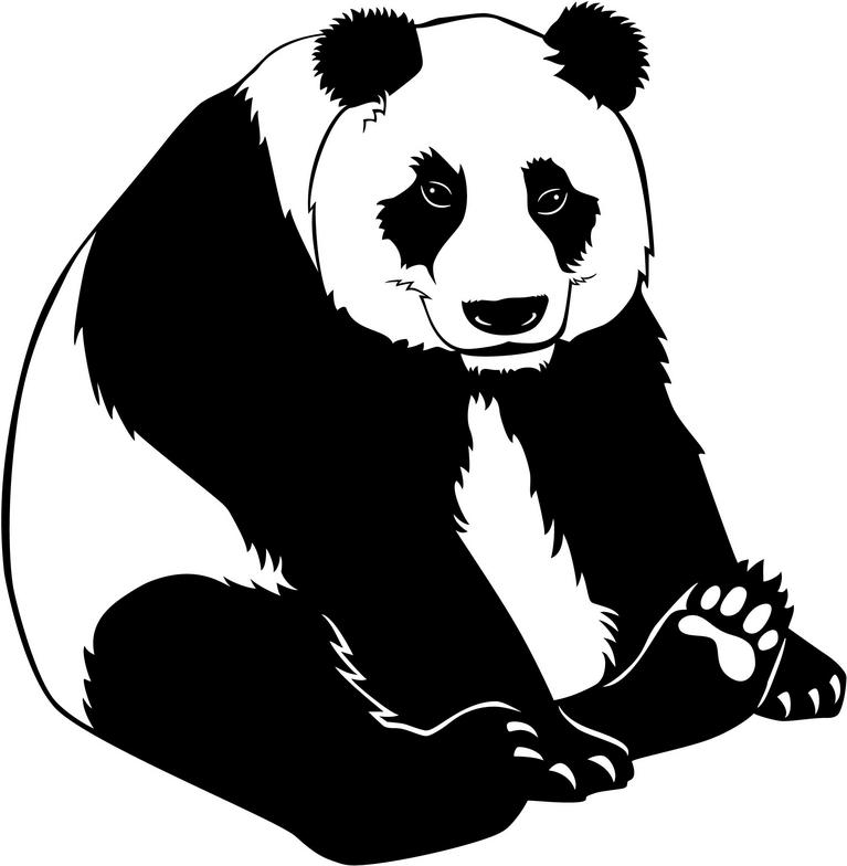 Giant Panda Clip Art - Panda Bear Clip Art