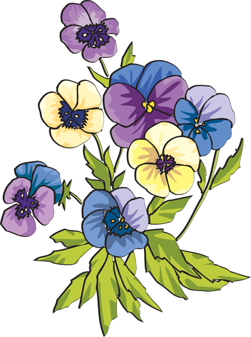 Pansy Flower Line Art - Free 