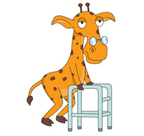 giraffe drinking from waterin - Giraffe Clip Art