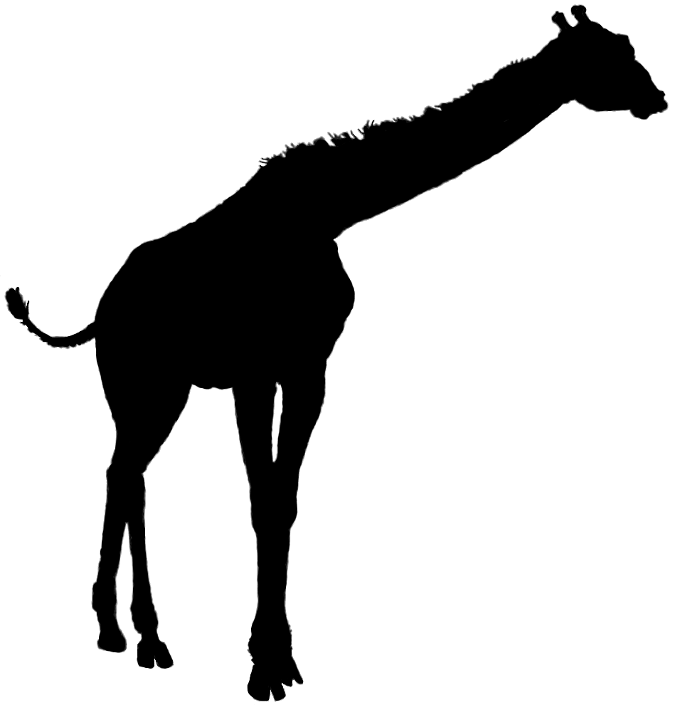 ... Giraffe silhouette clipart ...
