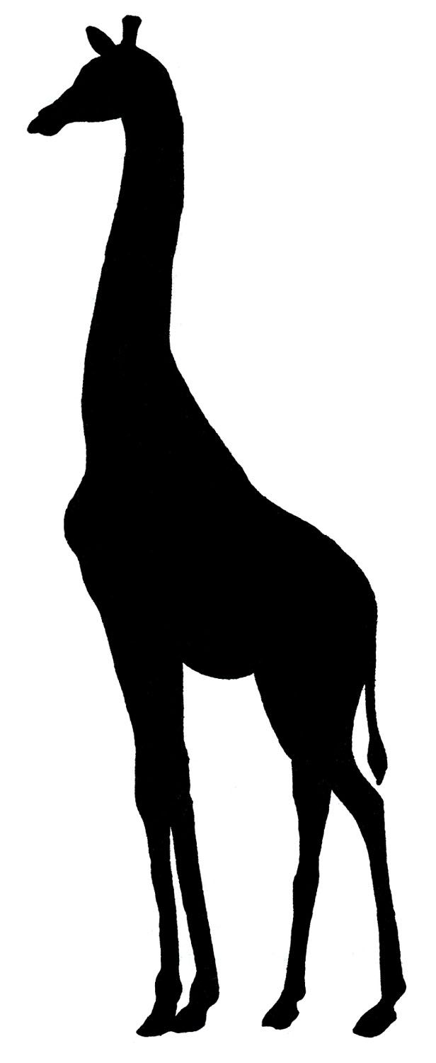 giraffe silhouette | Free Vec - Giraffe Silhouette Clip Art