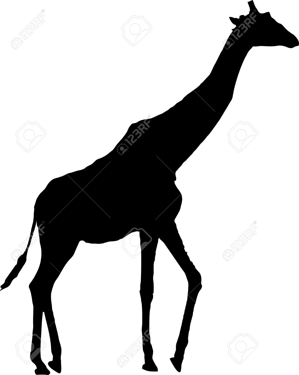 Giraffe Silhouette Isolated Vector Illustration Royalty Free. Print Save this clip art