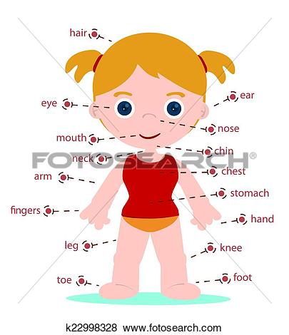 girl body parts
