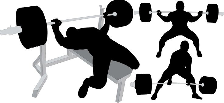 Powerlifting Clipart Bodybuil