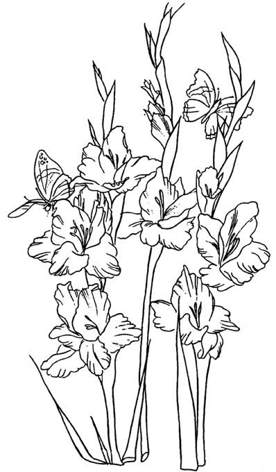 Clip art of gladiolus flowers done in black and white line | Needlework /  Images | Pinterest | Gladiolus flower, Gladioli and Clip art