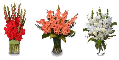 Download PNG image - Gladiolu - Gladiolus Clipart