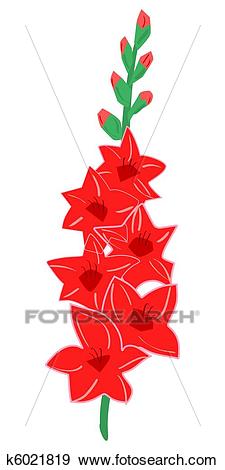 Stock Illustration - Gladiolus. Fotosearch - Search Vector Clipart,  Drawings, Print Murals,