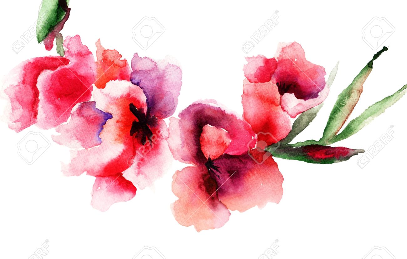 Stylized Gladiolus flowers, Watercolor painting Stock Photo