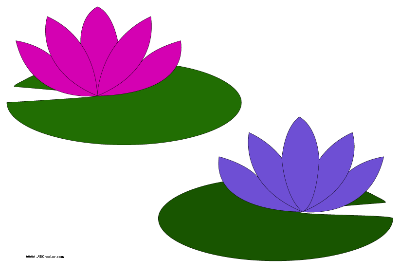 Go Back Gallery For Lily Pad Flower Clipart