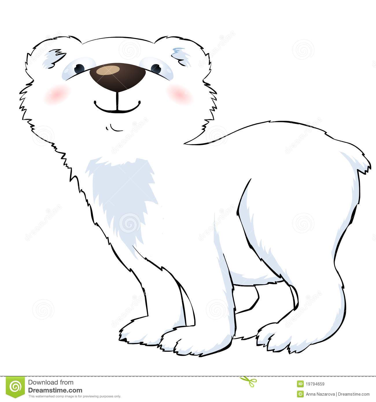 Polar Bear Description Polar 
