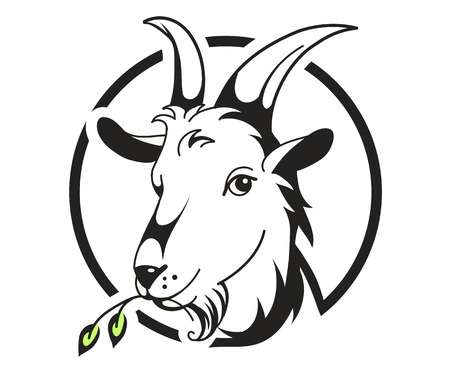 Head of goat on white background, vector illustration