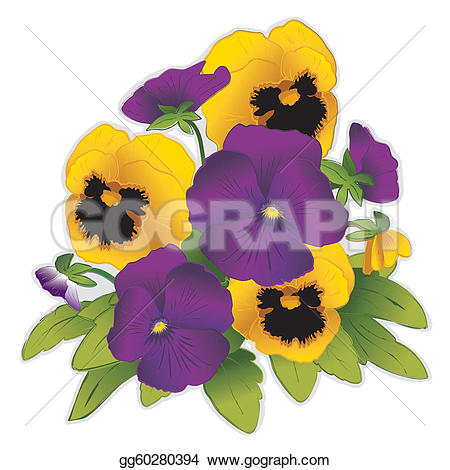 Golden Pansy Flowers u0026middot; Purple and Gold Pansy Flowers