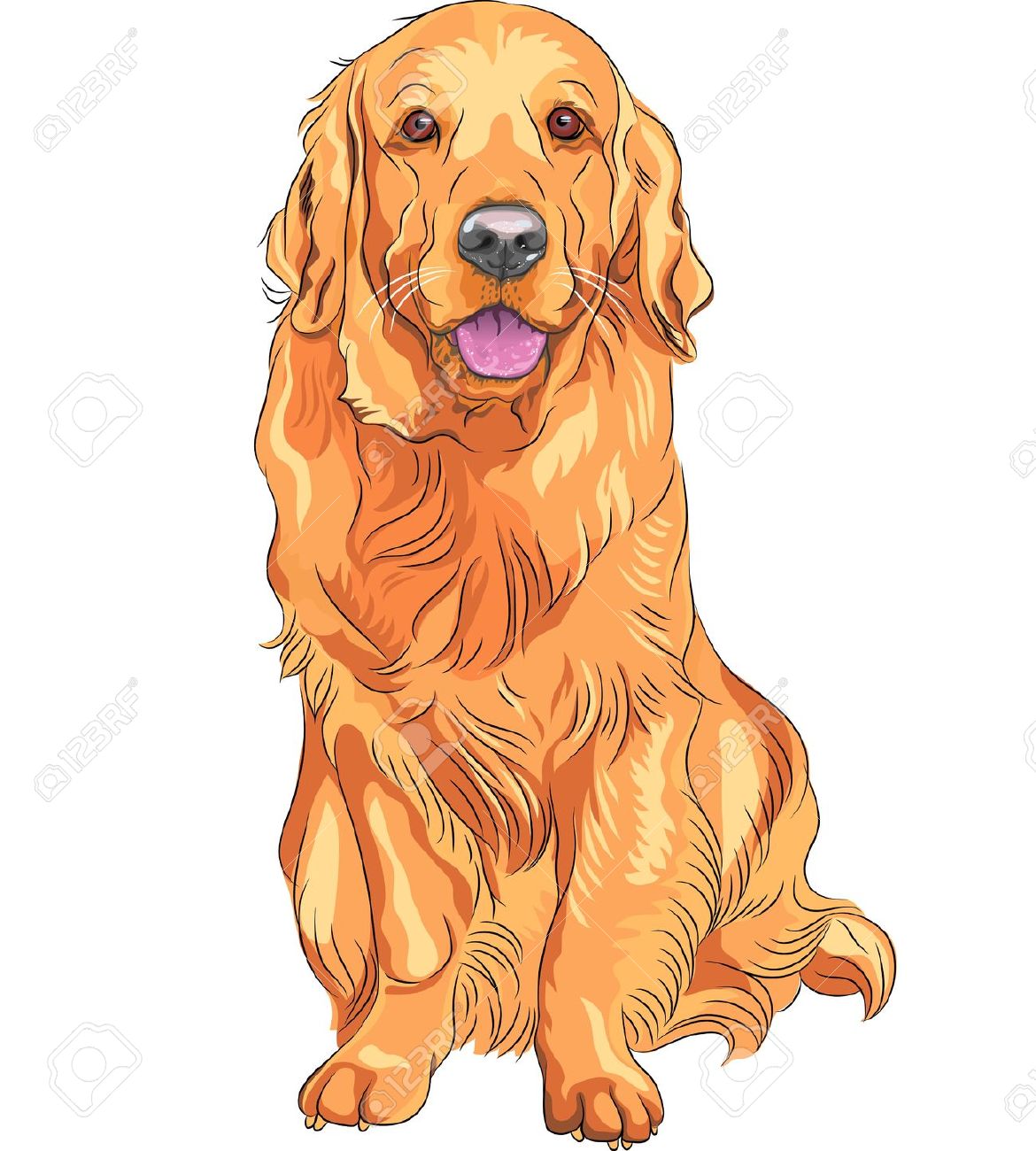 free golden retriever dog cli