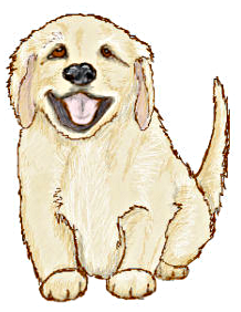 Golden Retriever Puppy - Golden Retriever Clip Art