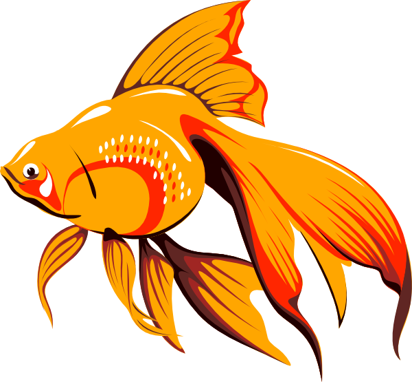 Gold Fish Clip Art Clipart Fr