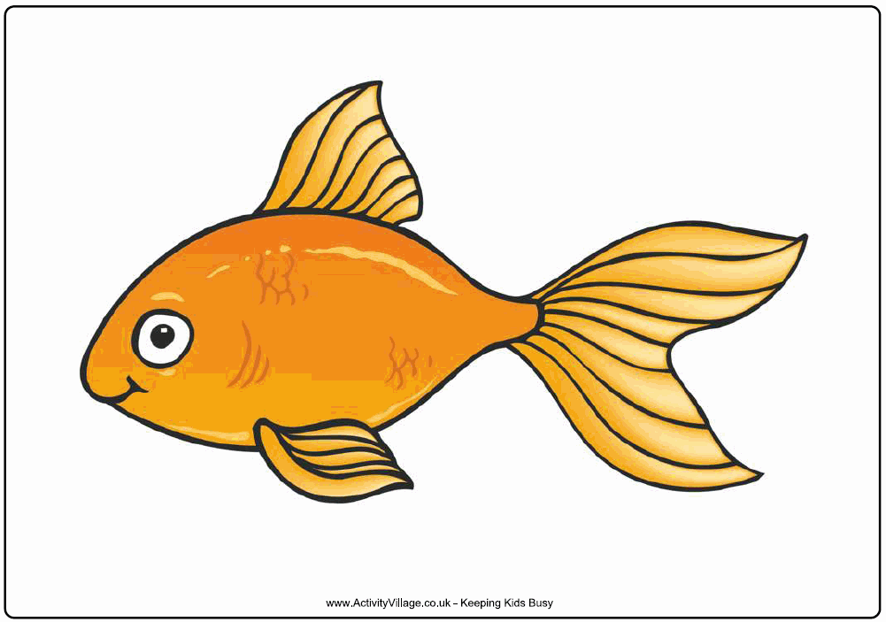 Goldfish Cartoon Goldfish Car - Gold Fish Clip Art