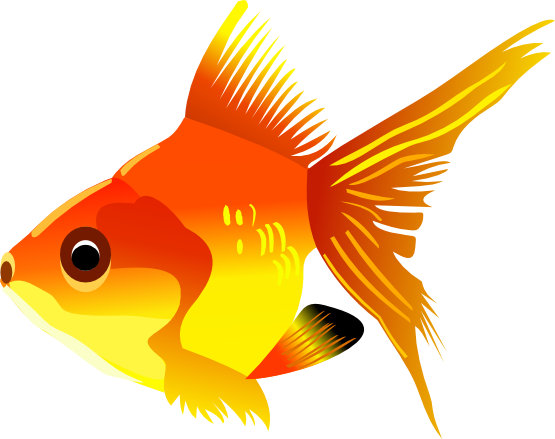Goldfish Clip Art Images Free - Goldfish Clip Art