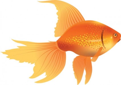 Goldfish clipart - ClipartFest