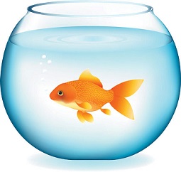 goldfish in bowl - Gold Fish Clip Art