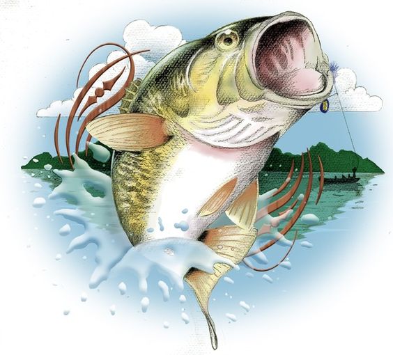 Bass Fish Species Clipart Fre