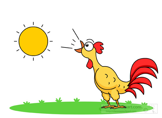 Singing Rooster and morning S