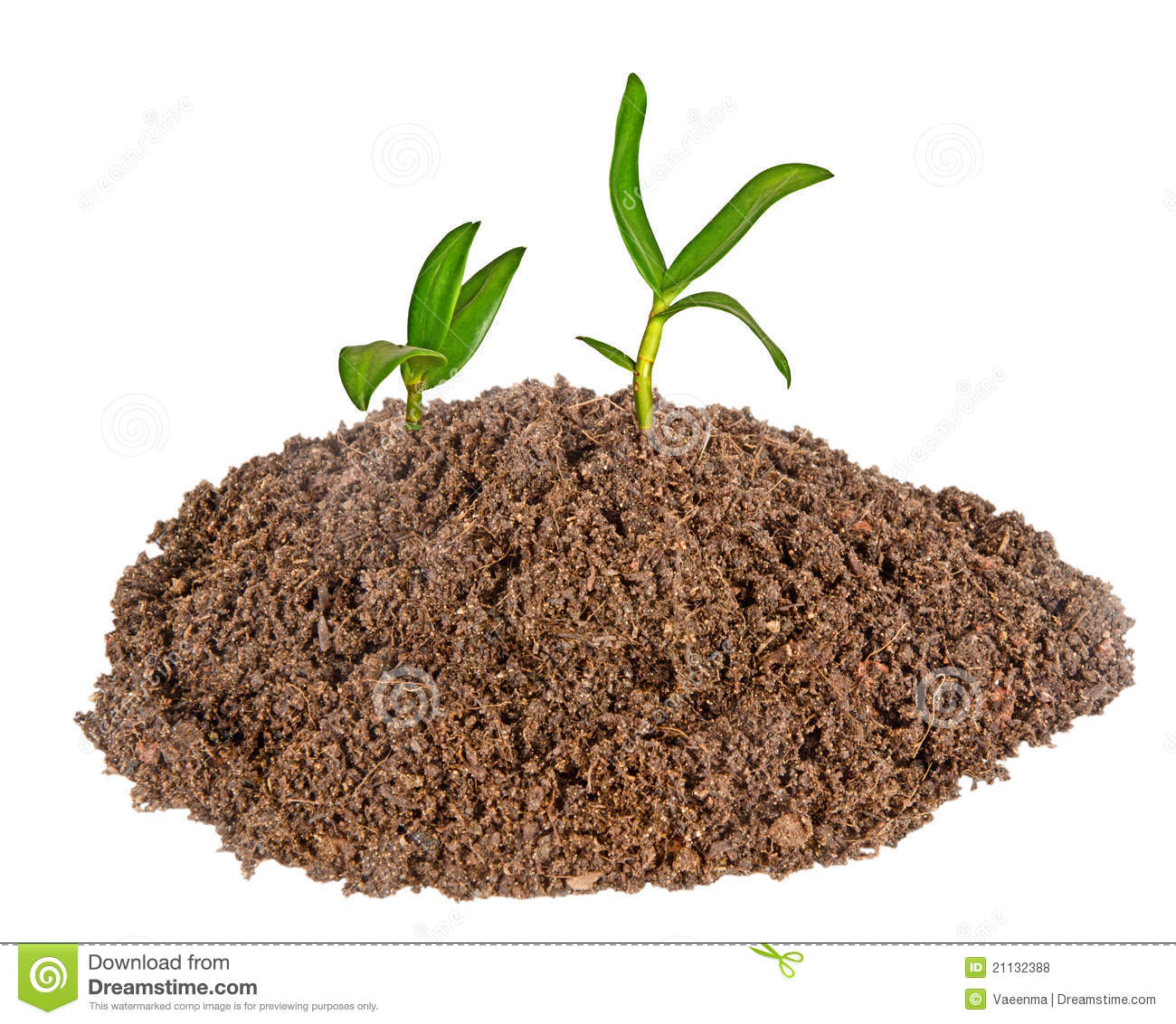 Good Soil Clipart - Soil Clipart