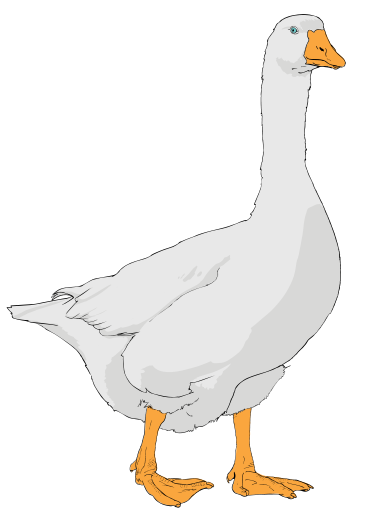 Goose Clip Art. Goose