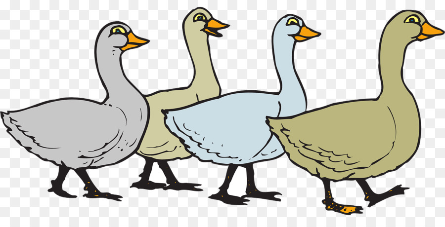 Domestic goose Bird Clip art - Ducks