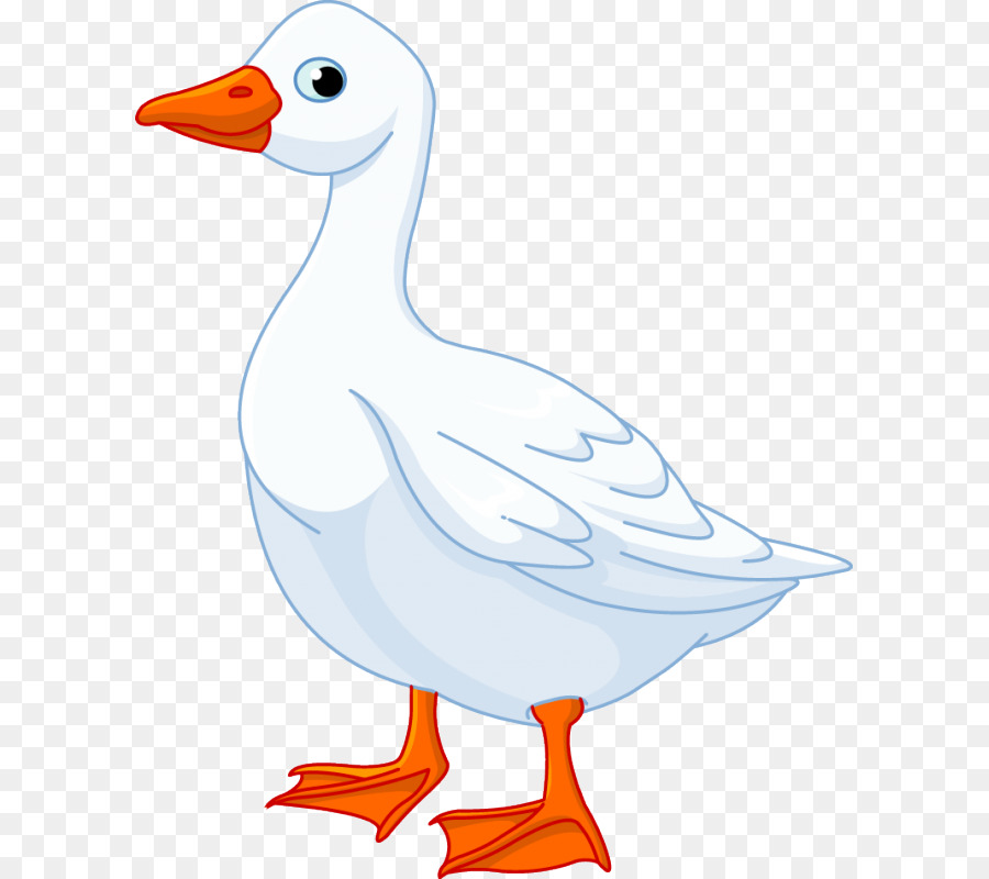 Domestic goose Clip art - goose