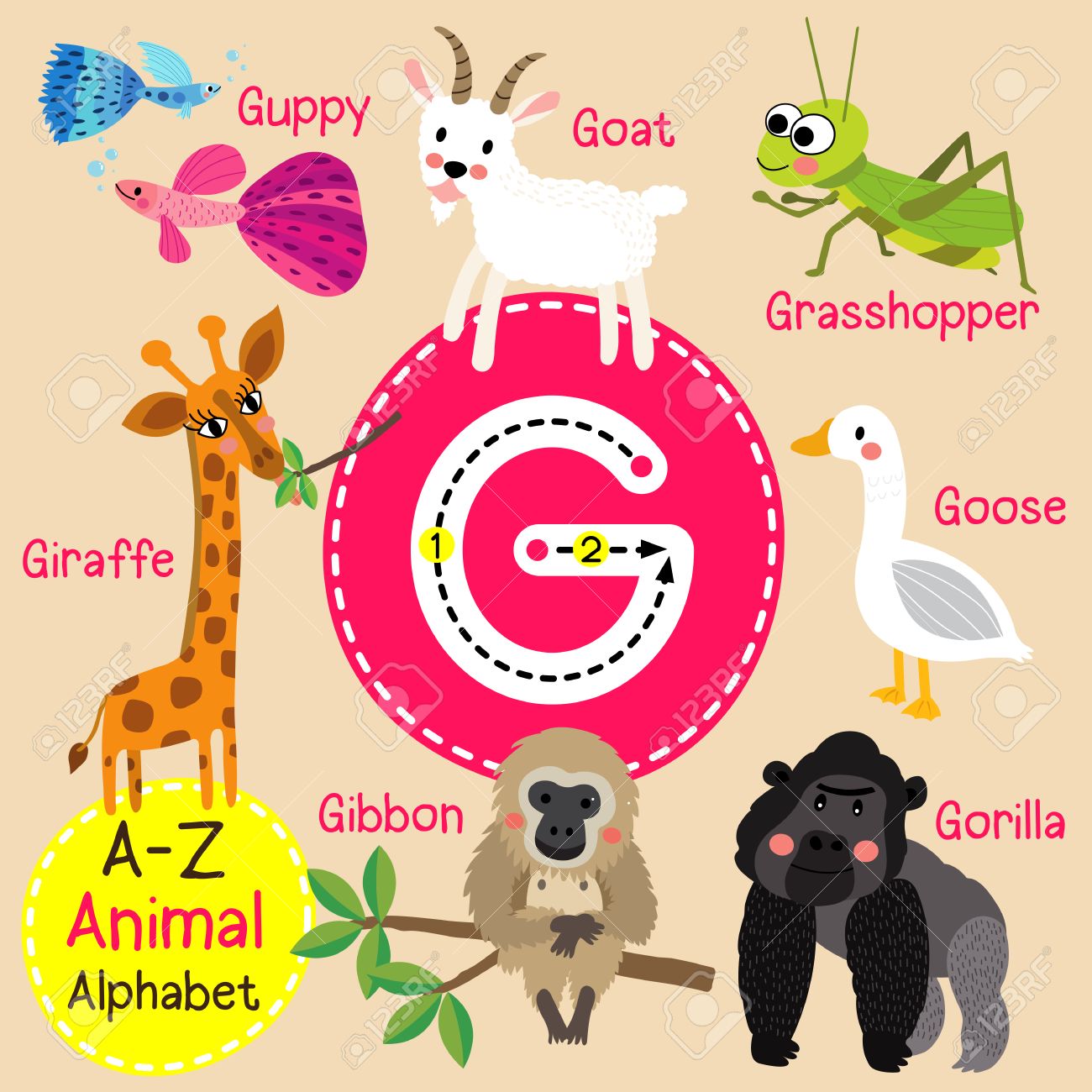 G letter tracing. Gibbon. Giraffe. Goat. Goose. Gorilla. Guppy.