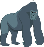 ground dwelling gorilla primate clipart. Size: 48 Kb