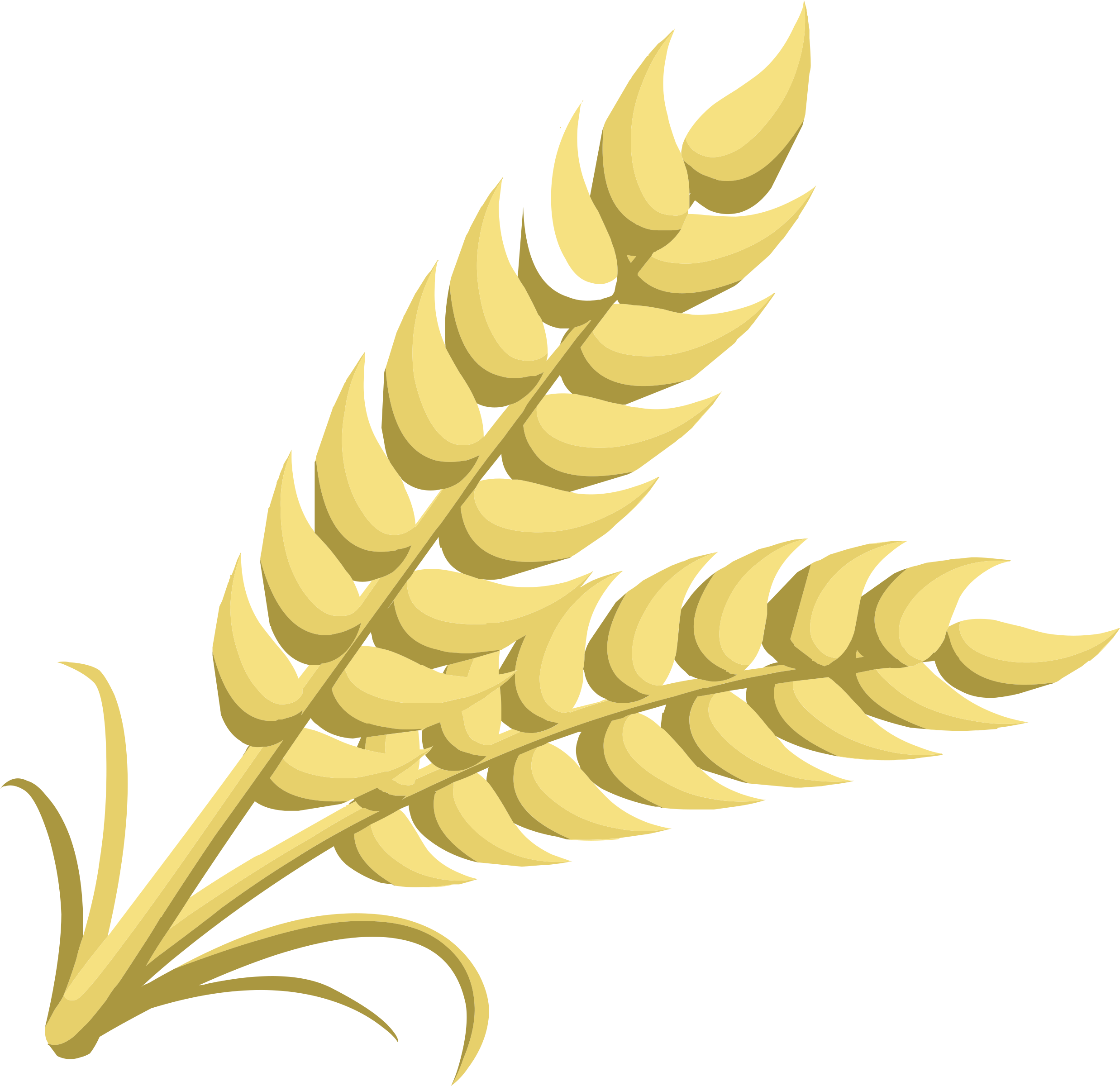 Clip Art Image Wheat Grain An