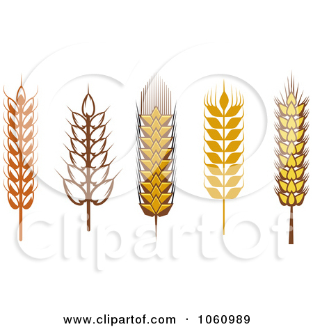 grain clipart - Grains Clipart