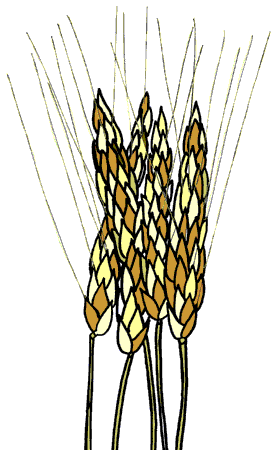 Grain Clip Art