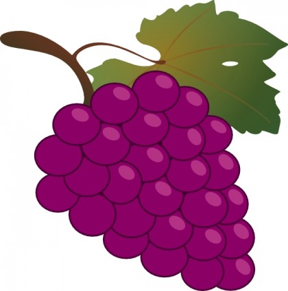 Grape Clip Art - Grape Clip Art