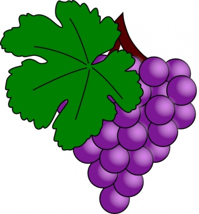 Grape Clip Art - Grape Clipart