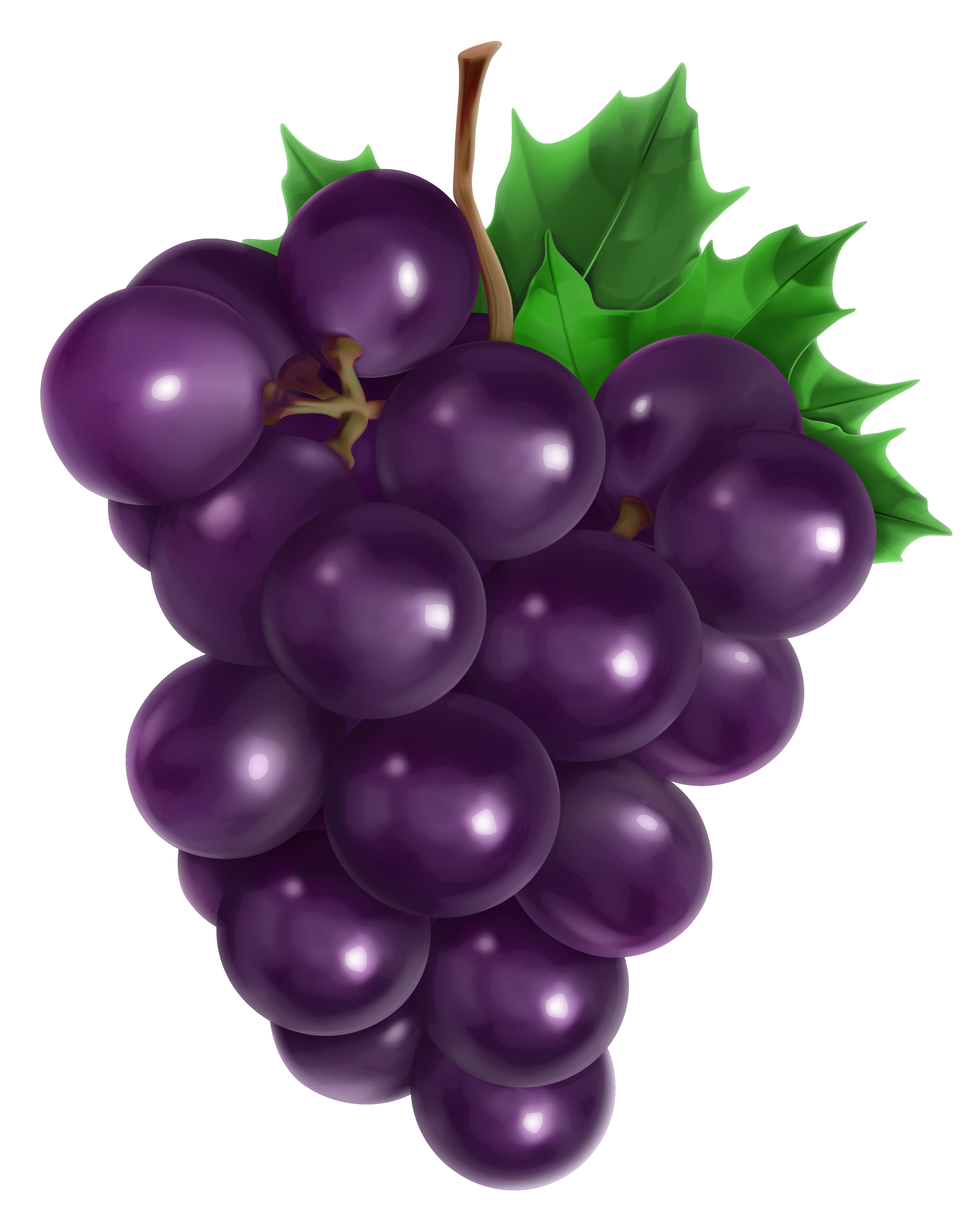 Grape cliparts - Grape Clipart