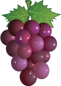 Free Bunch of Grapes Clip Art